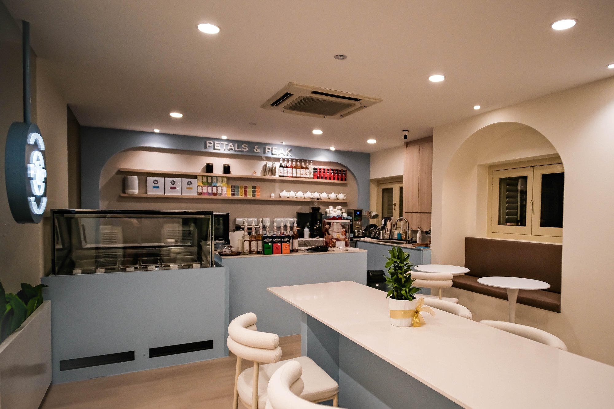 Petalspeak commercial interior design project